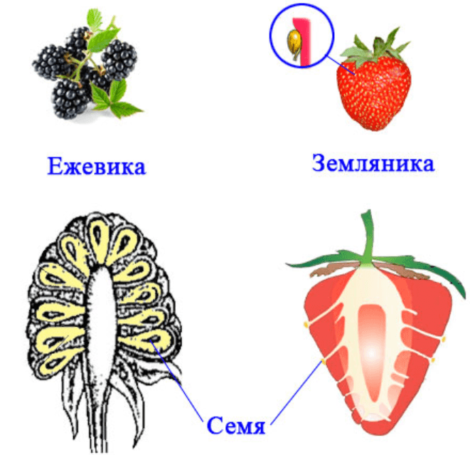 Решение рисунок 2